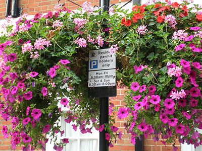 Hanging-baskets